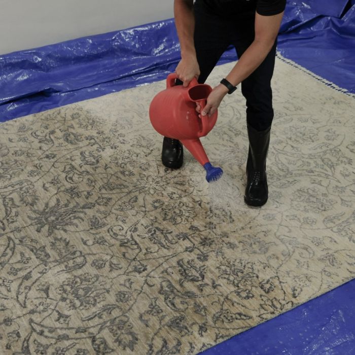 Cleaning Carpet Service - The Better Guys