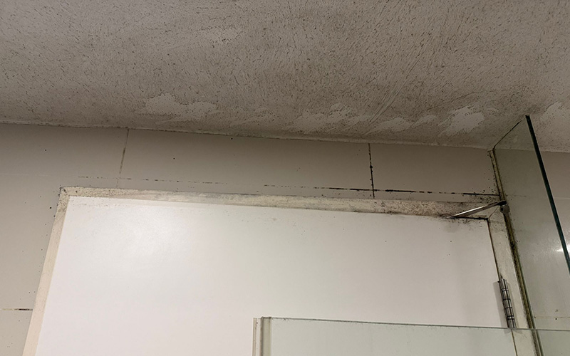 TBG_mould-Removal_01-1