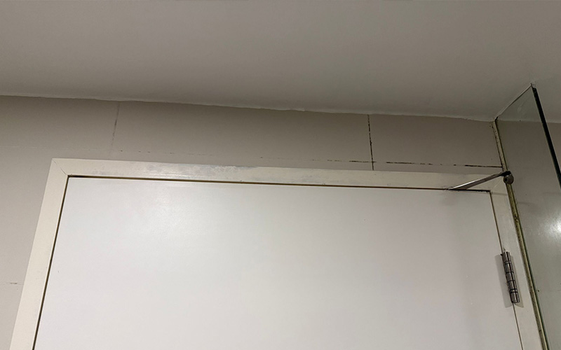 TBG_mould-Removal_01-2