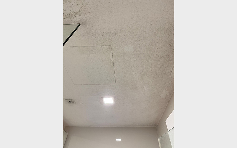 TBG_mould-Removal_02-1
