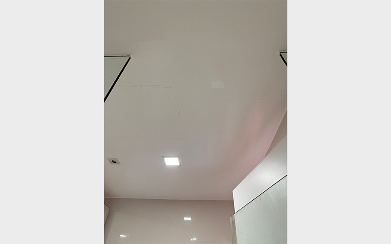 TBG_mould-Removal_02-2