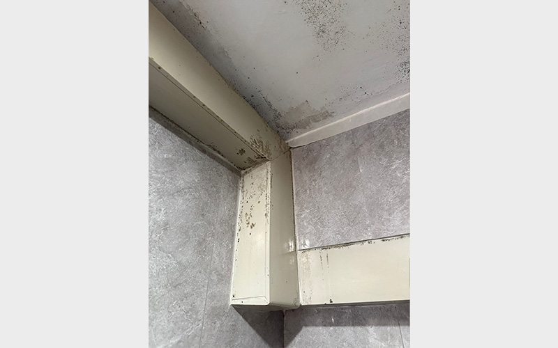 TBG_mould-Removal_03-1