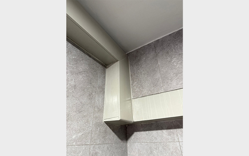 TBG_mould-Removal_03-2