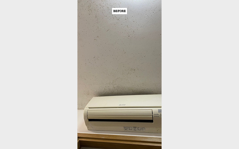 TBG_mould-Removal_04-1