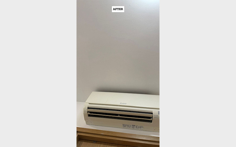 TBG_mould-Removal_04-2